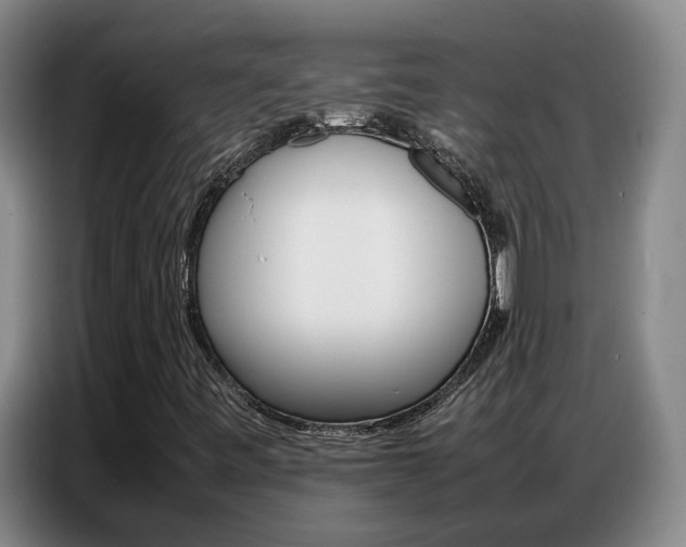 X0000087321443200704200729