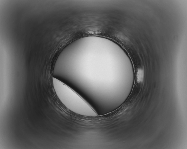 X0000087321444200704200729