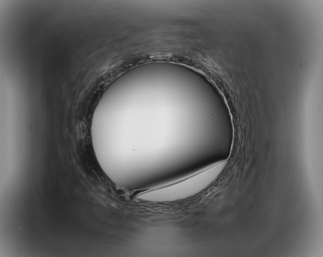 X0000087321445200704200729