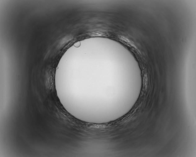 X0000087321446200704200729