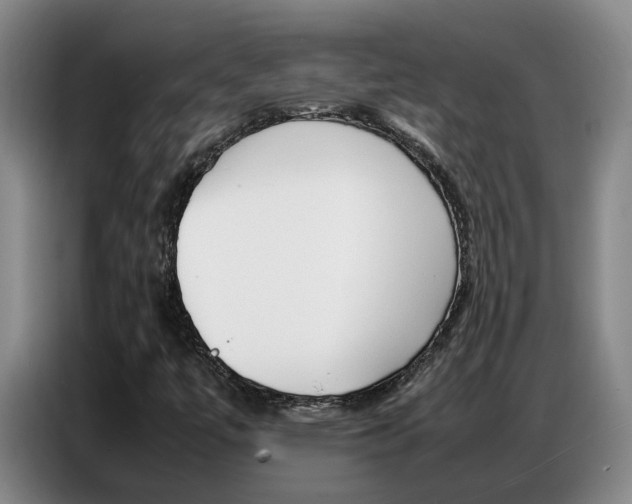 X0000087321447200704200729