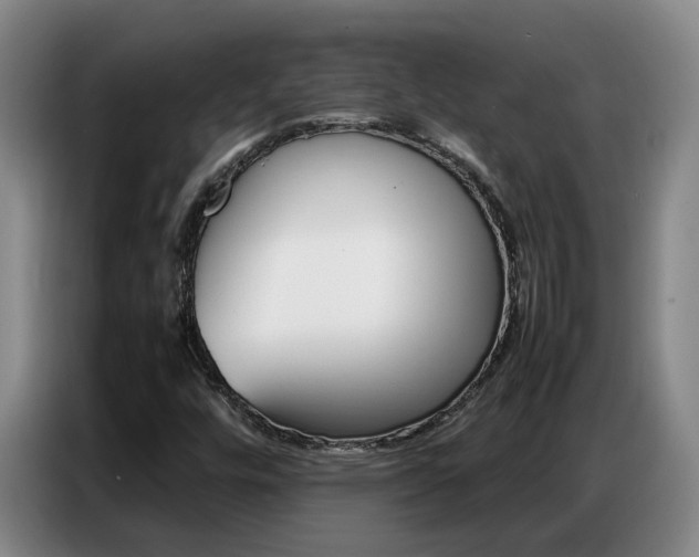 X0000087321448200704200729