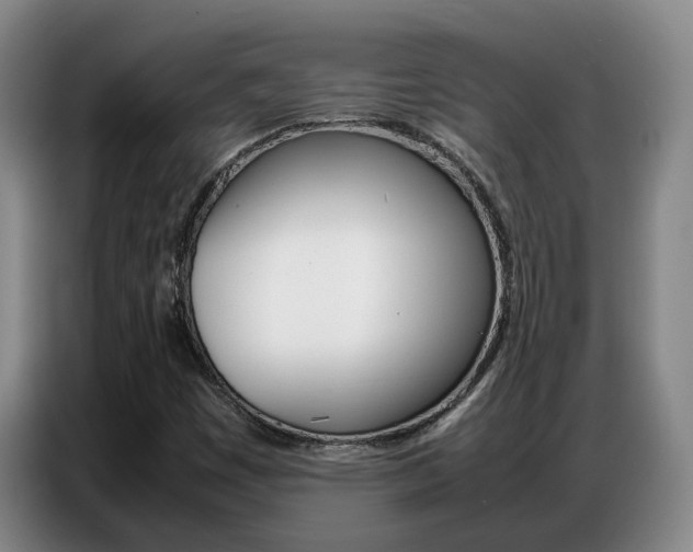 X0000087321449200704200729