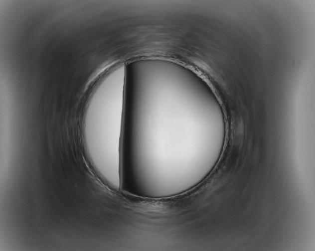X0000087321450200704200729