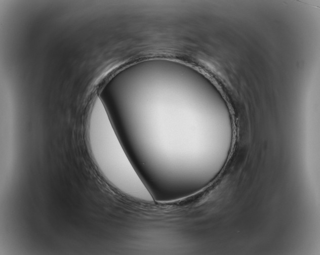 X0000087321453200704200729