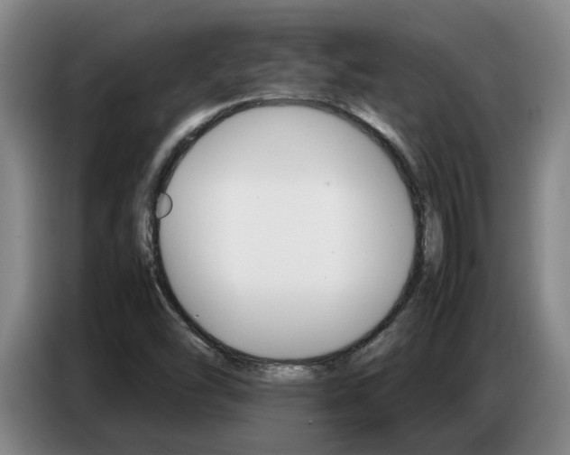 X0000087321454200704200729