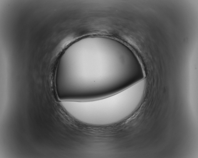 X0000087321455200704200729