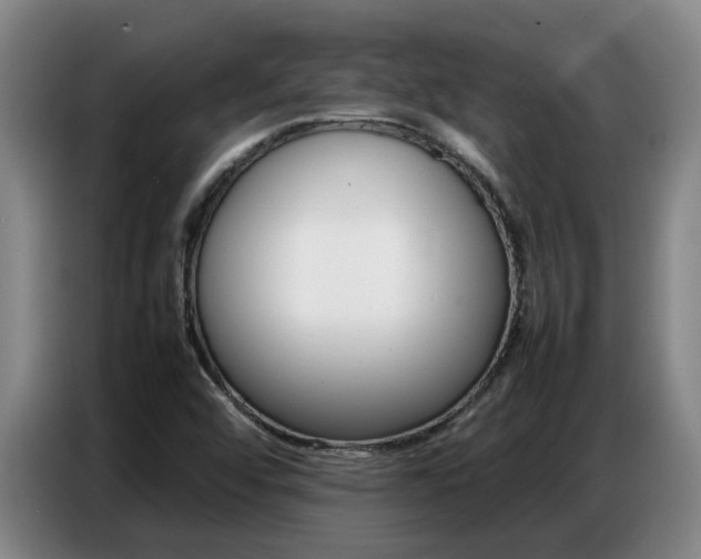 X0000087321456200704200729