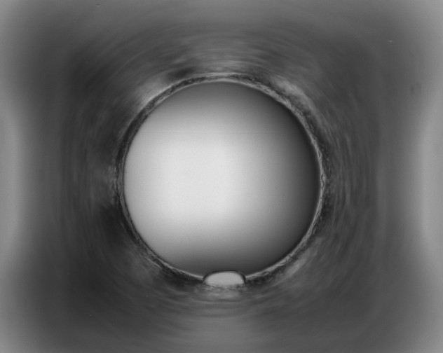 X0000087321457200704200729