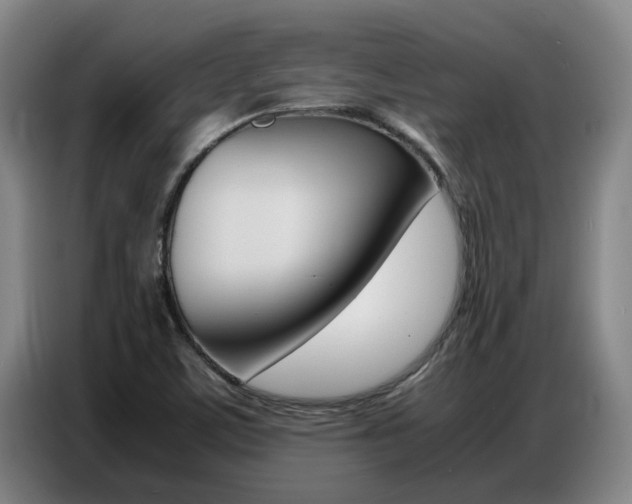 X0000087321459200704200729