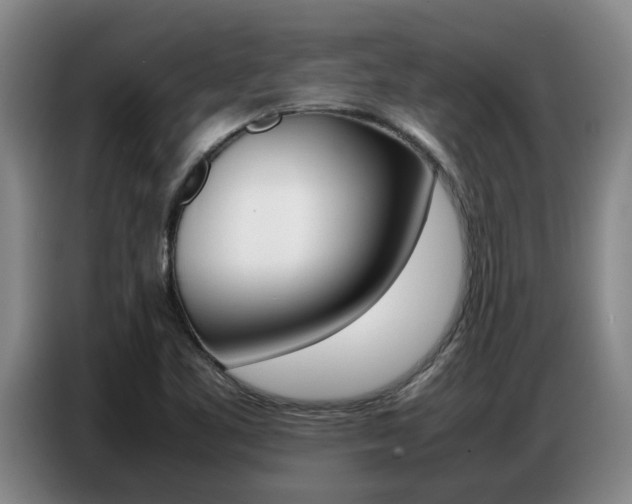 X0000087321461200704200729