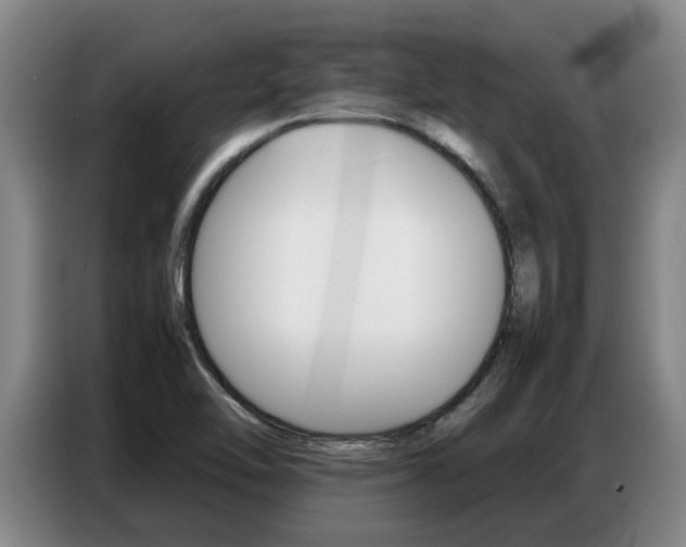 X0000087321462200704200729