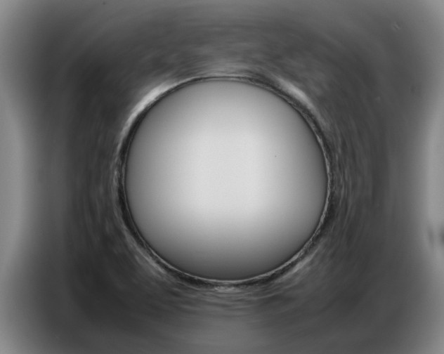 X0000087321463200704200729