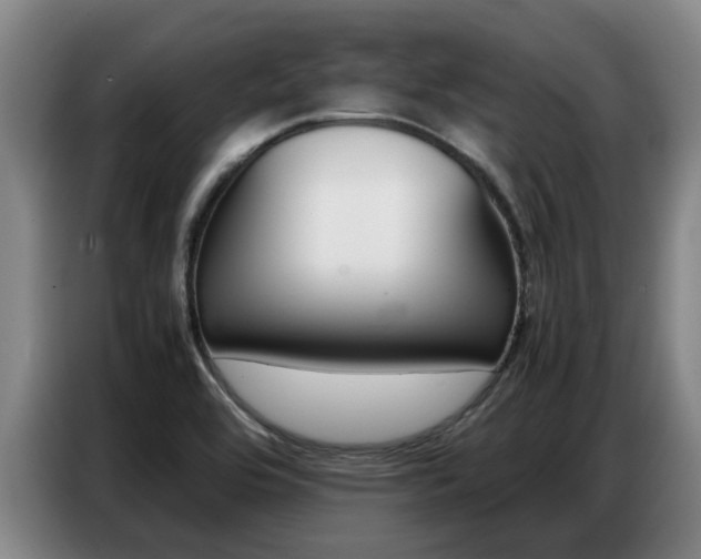 X0000087321464200704200729
