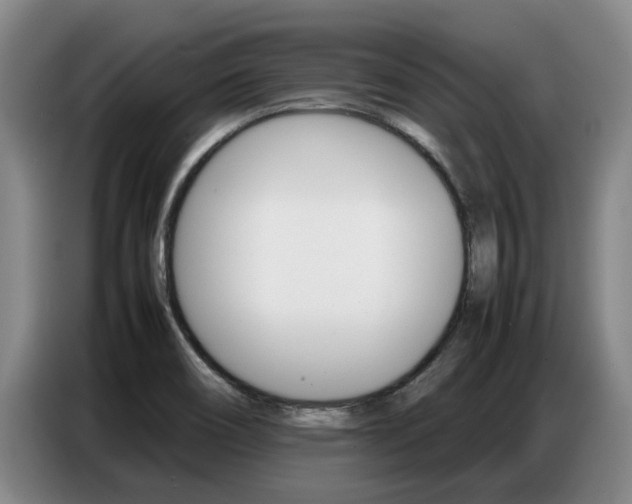 X0000087321466200704200729