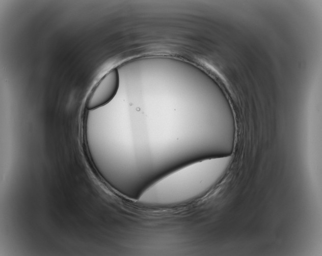 X0000087321467200704200729