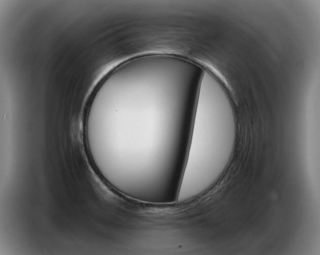 X0000087321468200704200729