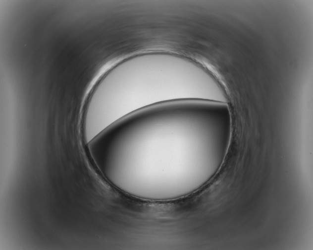 X0000087321469200704200729