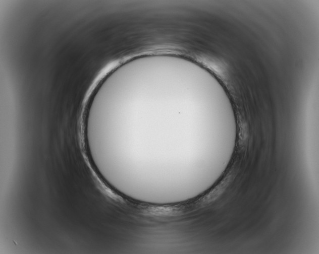 X0000087321470200704200729