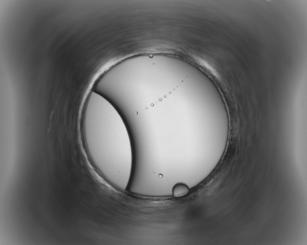 X0000087321471200704200729