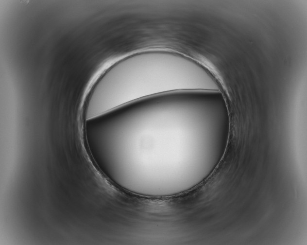 X0000087321472200704200729