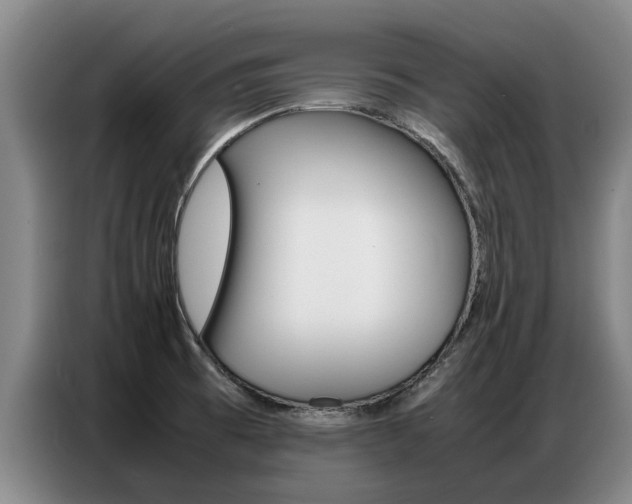 X0000087321473200704200729