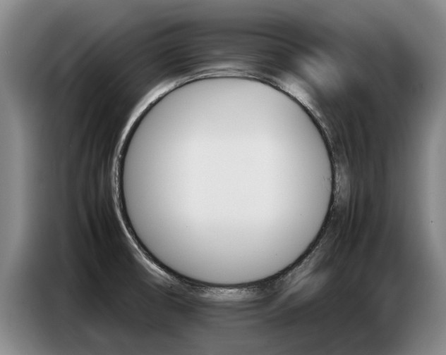 X0000087321474200704200729