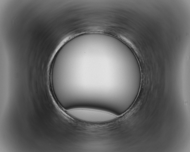 X0000087321475200704200729