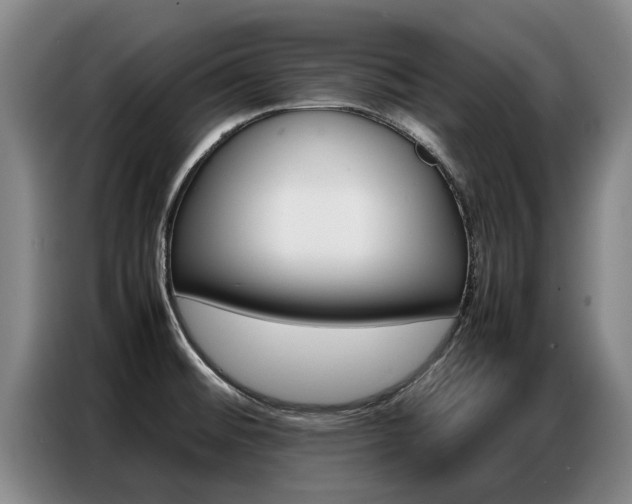 X0000087321476200704200729