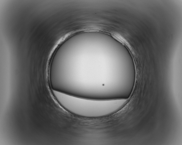 X0000087321477200704200729