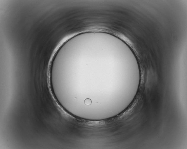 X0000087321478200704200729