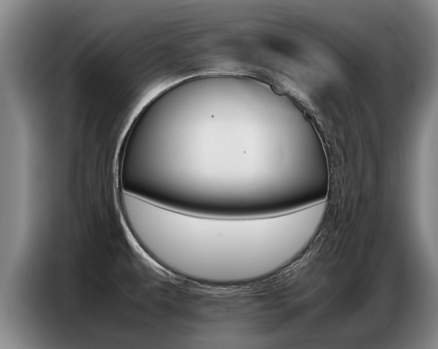 X0000087321479200704200729