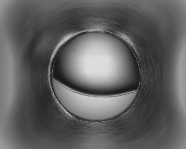 X0000087321480200704200729