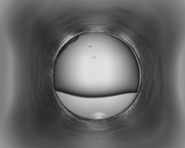 X0000087321481200704200728