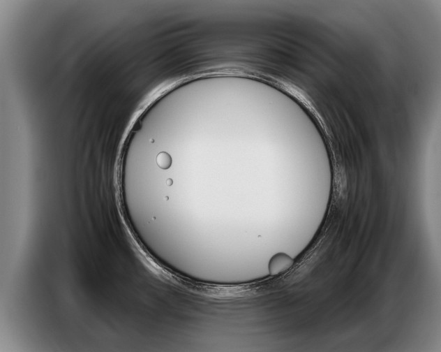 X0000087321482200704200728