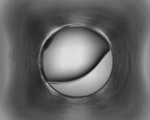 X0000087321485200704200728