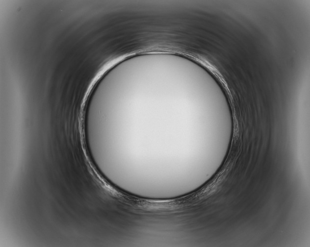 X0000087321486200704200728