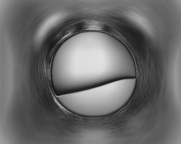 X0000087321487200704200728