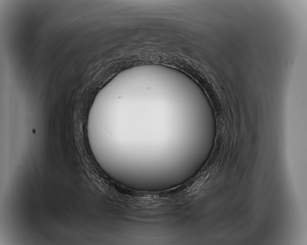 X0000087321489200704200728