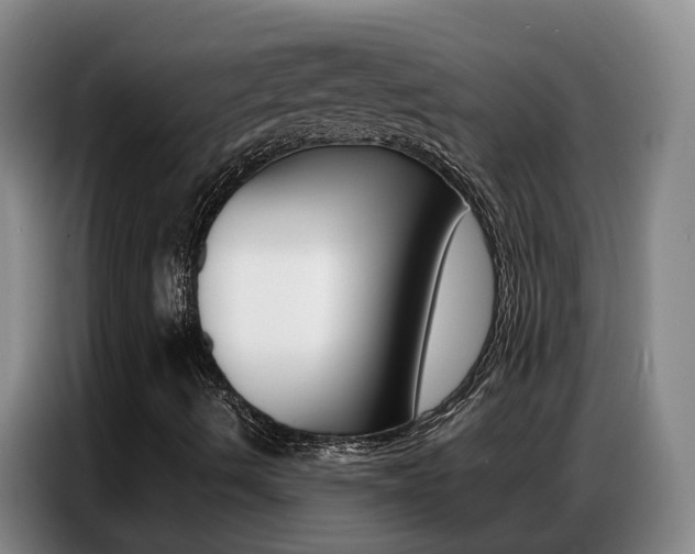X0000087321490200704200728