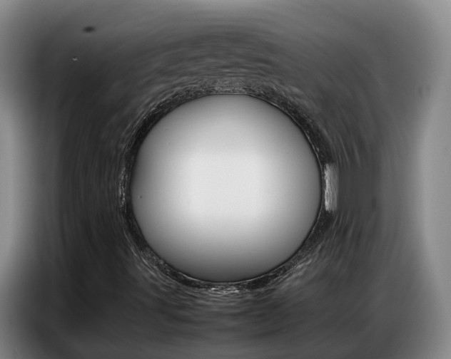 X0000087321491200704200728