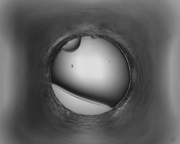 X0000087321494200704200728