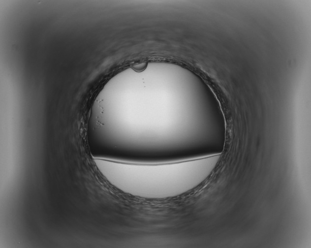 X0000087321495200704200728