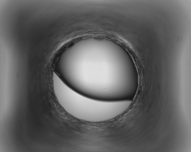 X0000087321496200704200728