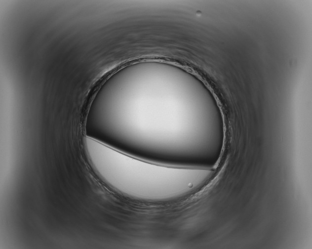 X0000087321497200704200728