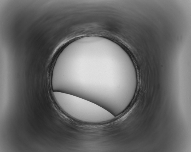 X0000087321498200704200728