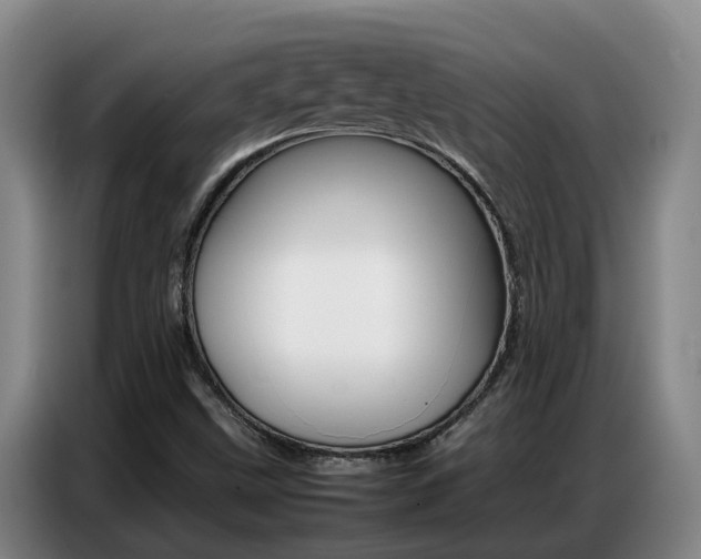 X0000087321499200704200728