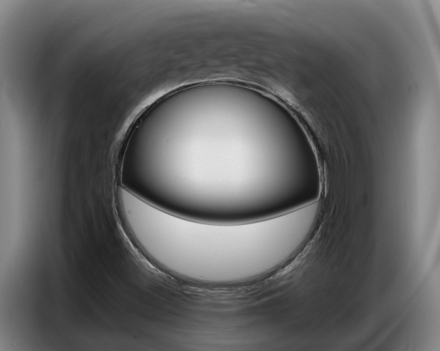 X0000087321500200704200728