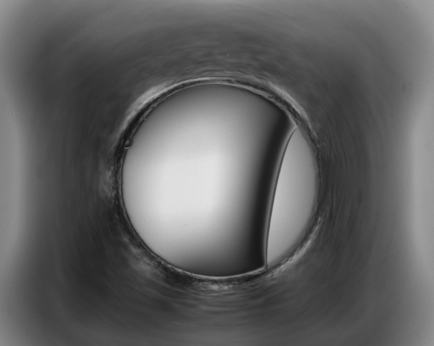 X0000087321501200704200728