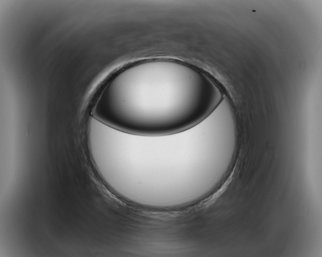 X0000087321502200704200728